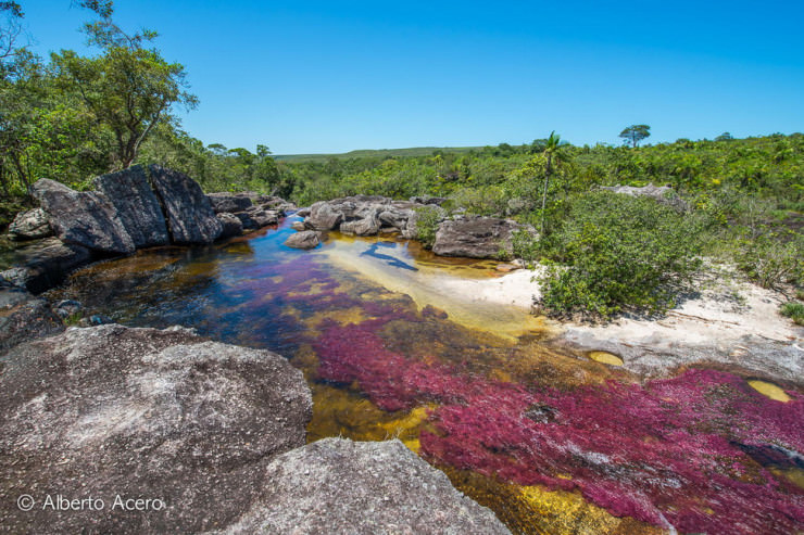 Caño Cristales-Photo by Alberto Acero