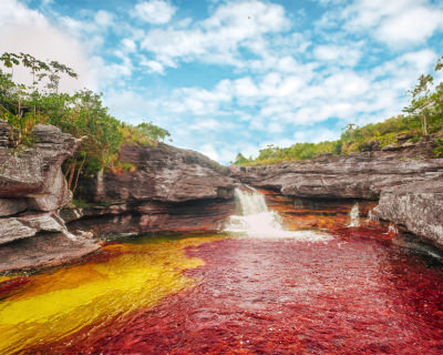 Caño Cristales – the River of Five Colors in Colombia