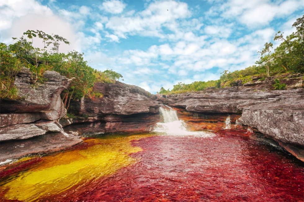 Caño Cristales – the River of Five Colors in Colombia