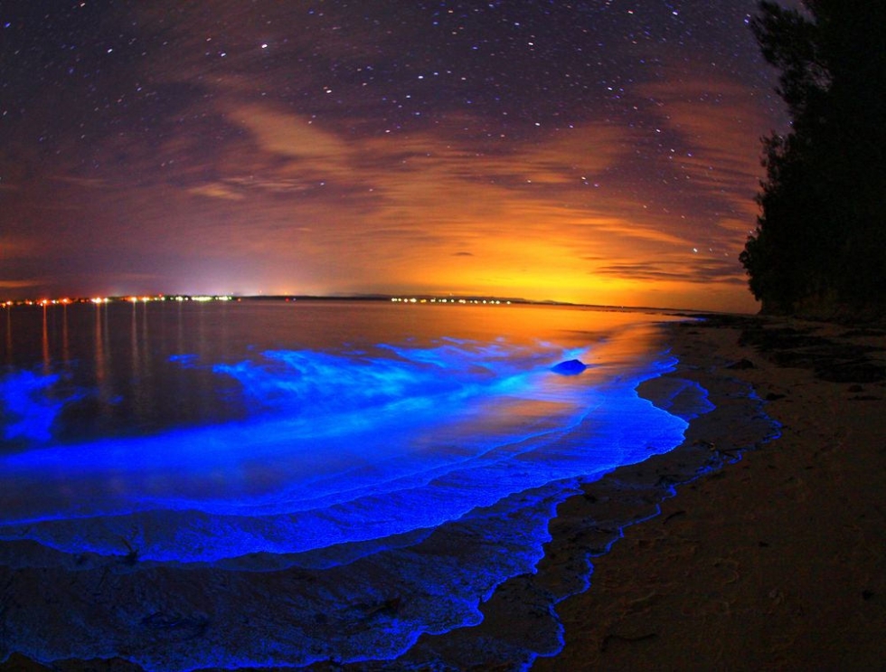 Pristine Beaches and Glowing Water in Jervis Bay, Australia | Places To