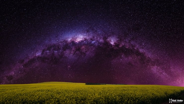 Top 10 Stars-Wiruna-Photo by Matt Weller