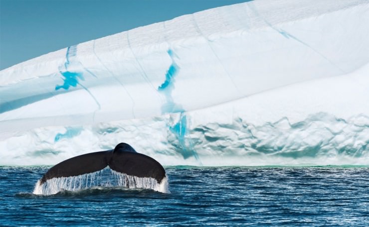 Top Greenland-Cruise-Photo by Karsten Bidstrup2