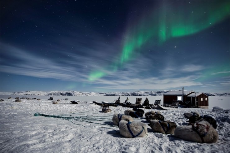 Top Greenland-Dogs-Photo by André Schoenherr