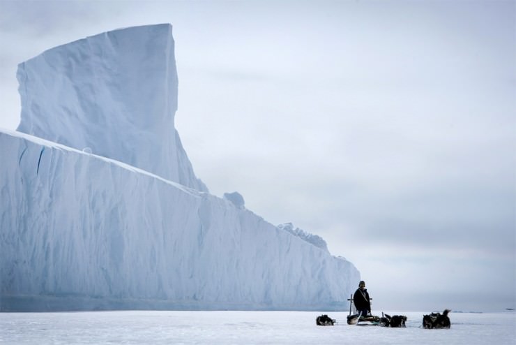 Top Greenland-Dogs-Photo by Jørgen Chemnitz