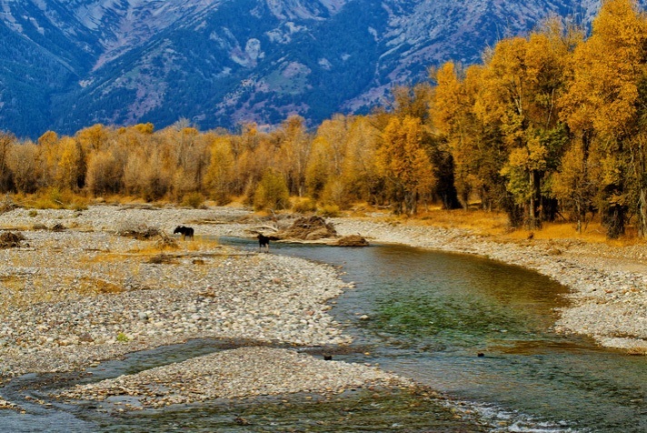 Gros Ventre-Photo by Robert Carney