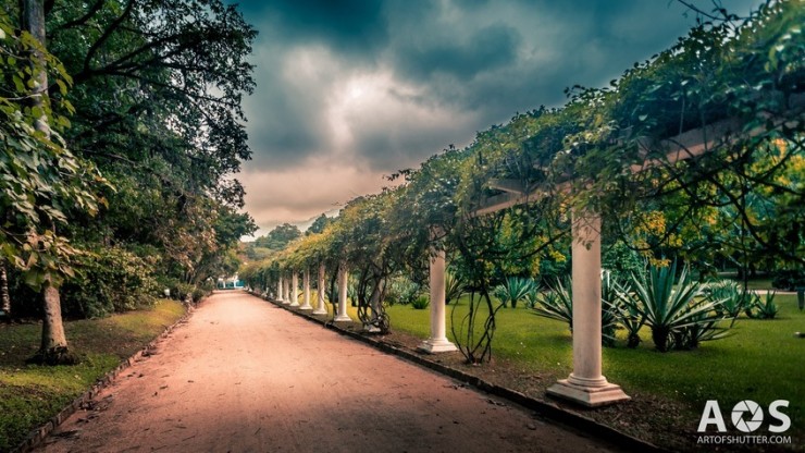 Rio de Janeiro Garden-Photo by Marco Tedeschi