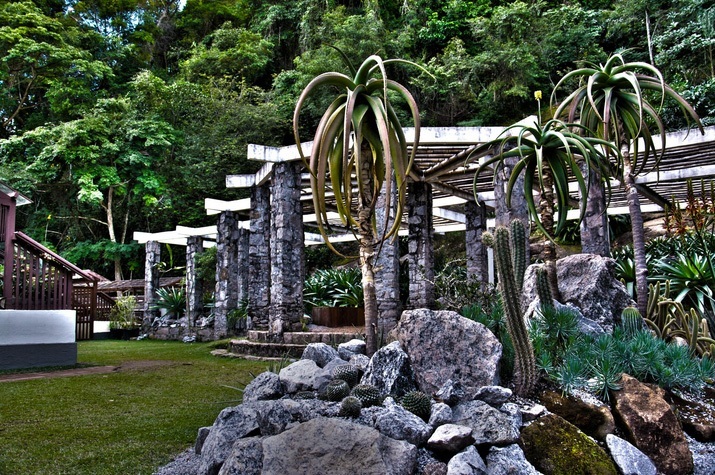 Rio de Janeiro Garden-Photo by Thiago Santana