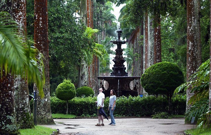 Rio de Janeiro Garden4