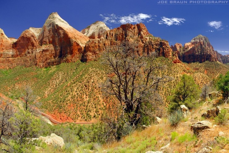 Top 10 Zion-Horse-Photo by Joe Braun2