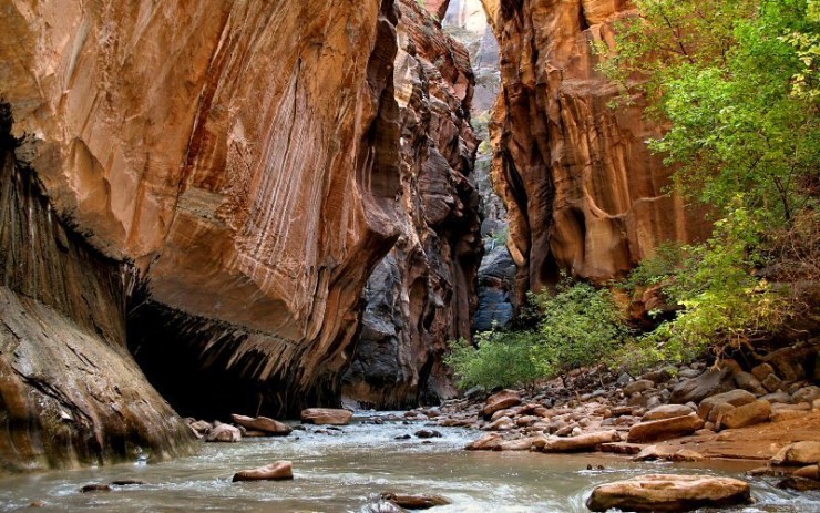 Top 10 Zion-The Narrows4