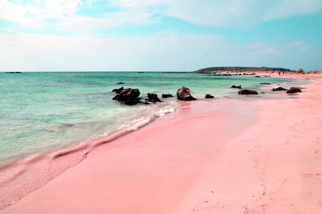 The Unique Pink Sands Beach in Harbour Island, the Bahamas - Places To See  In Your Lifetime