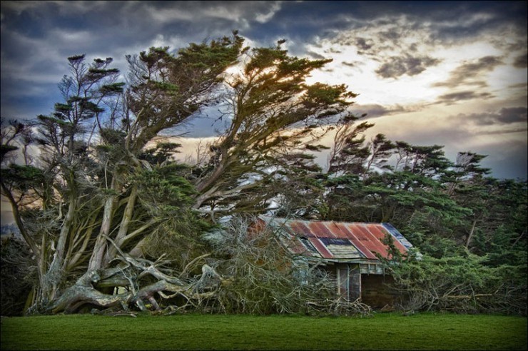 Top Deserted Places-Slope Point-Photo by Carol Darby