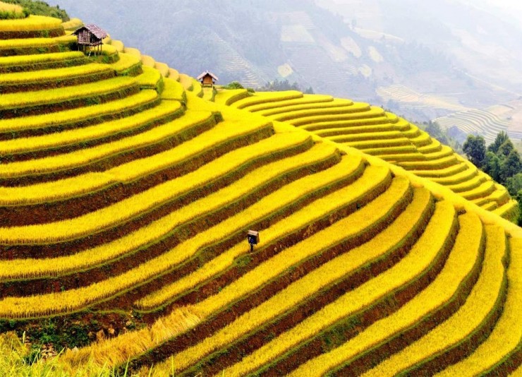 Top 10 Natural Terraced Structures - Places To See In Your Lifetime