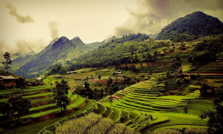 Top Terraced-Vietnam-Photo by Réhahn Photography