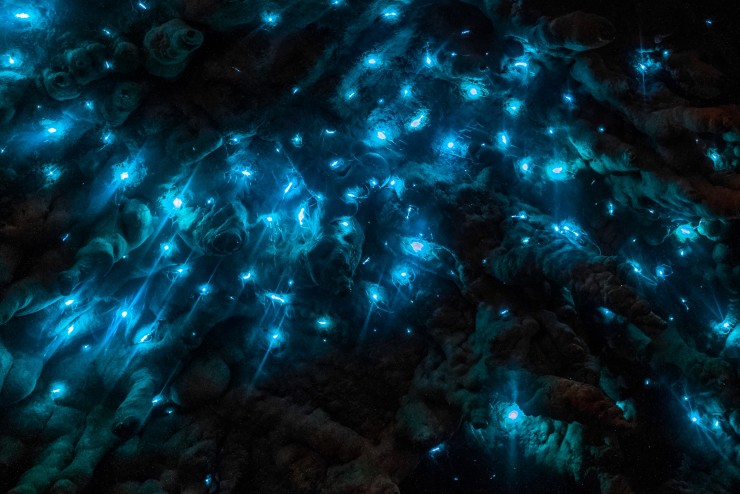 The Waitomo Glowworm Caves, North Island, New Zealand by Fabian Ebi