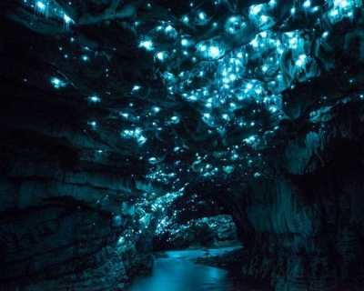 Amazing New Long Exposure Photos from the Waitomo Caves, New Zealand