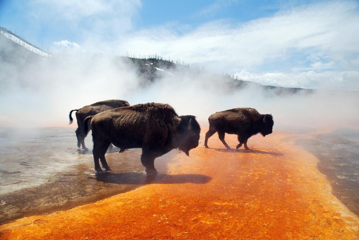 Top 10 Google-Grand Prismatic-Photo by Jonohey