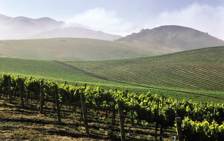 Top 10 Wine-California