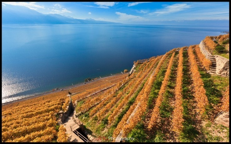 Top 10 Wine-Lavaux-Photo by JHG Photography3