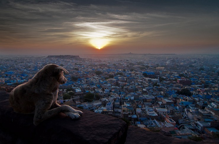 Top Ancient Towns-Jodhpur-Photo by Sudharshun Gopalan