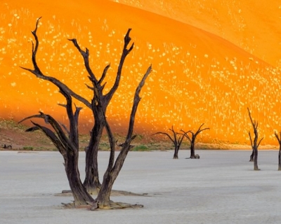 Top 10 Deserts and Sandy Landscapes