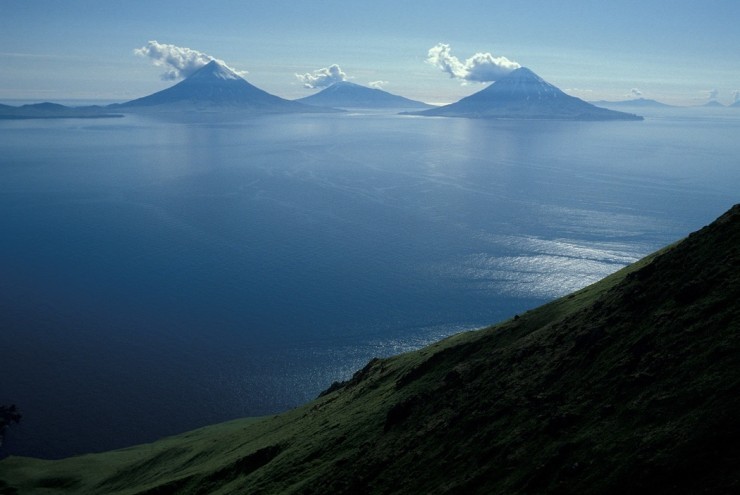 Top Surfing-Aleutian