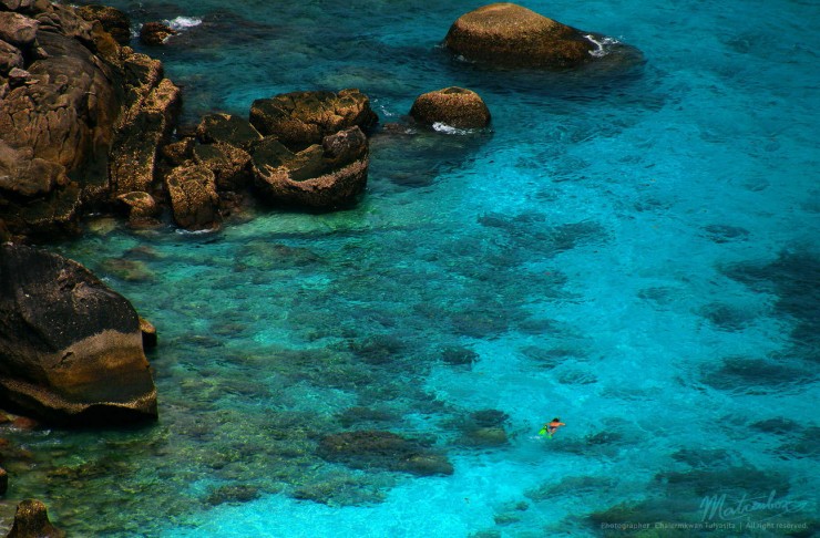 Diving in Thailand