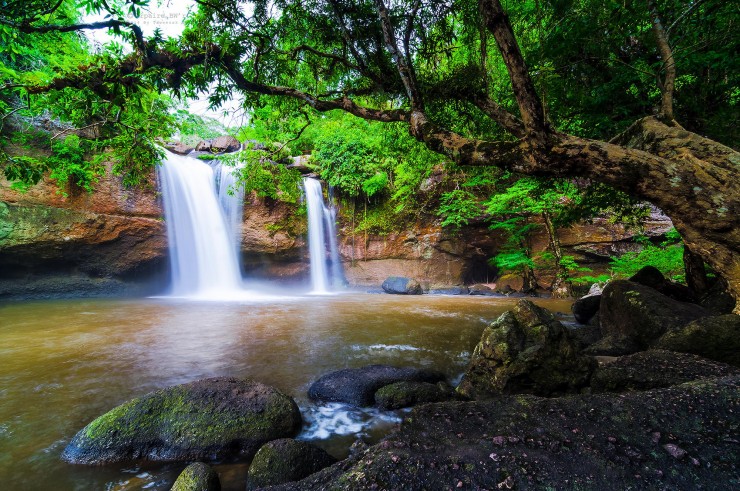 Khao Yai National Park