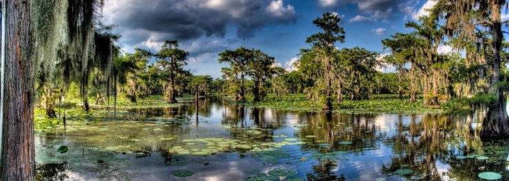 Top American Lakes-Caddo-Photo by Jaynik