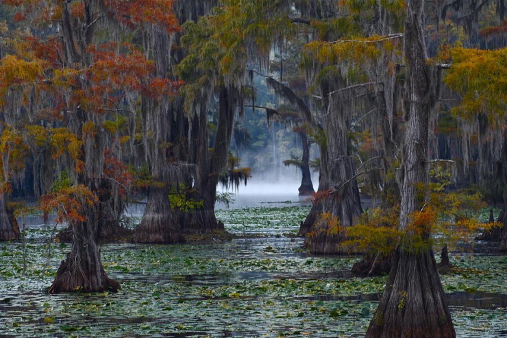 Top American Lakes-Caddo2