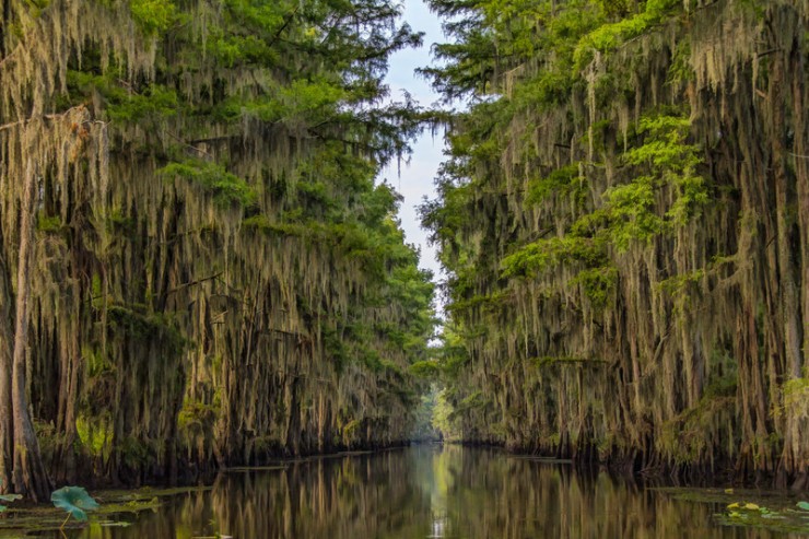 Top American Lakes-Caddo3