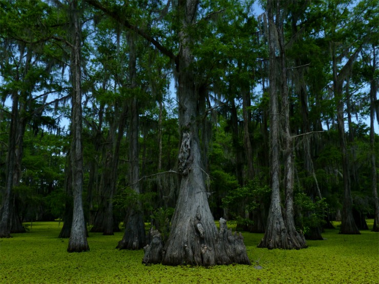 Top American Lakes-Caddo4