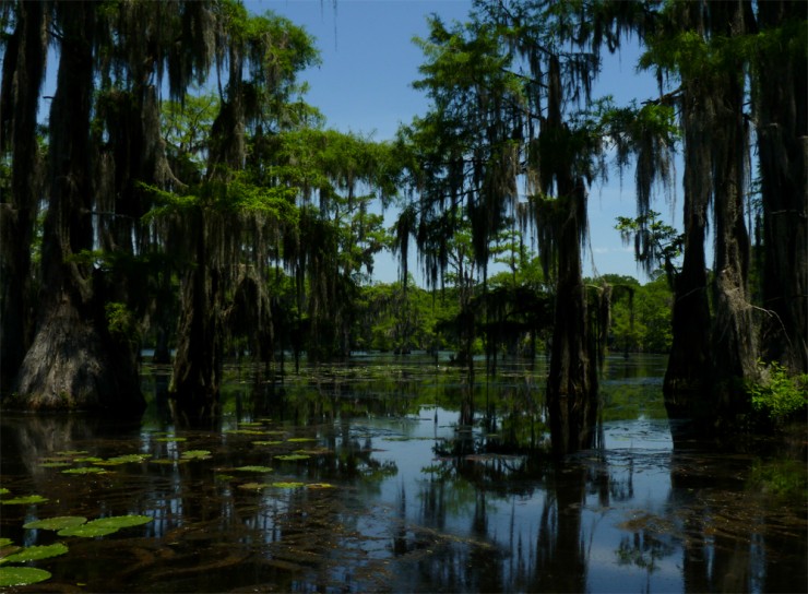 Top American Lakes-Caddo5