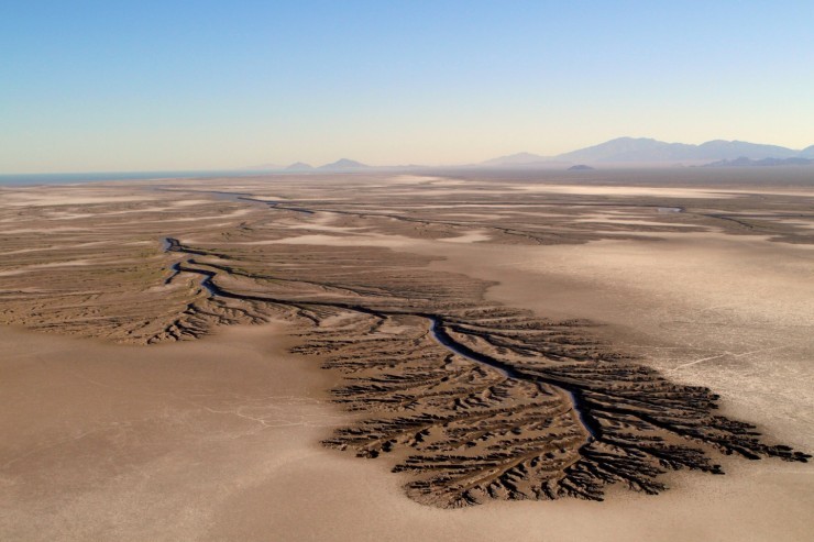 Top Mexico-Desert