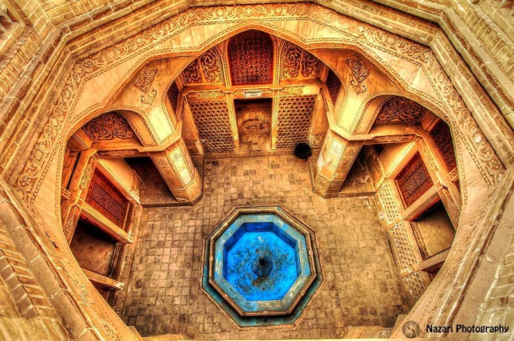 Top Ornamental-Sultan-Photo by Saeed Nazari