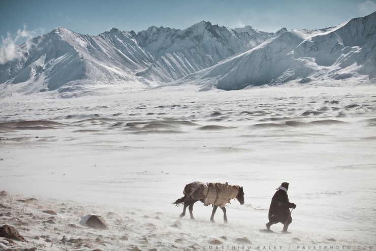 A shepherd with his horse, herding his yaks near frozen Chakmaktin (meaning Flint Stone) Lake. In and around Ech Keli, Er Ali Boi's camp, one of the richest Kyrgyz in the Little Pamir. Trekking with yak caravan through the Little Pamir where the Afghan Kyrgyz community live all year, on the borders of China, Tajikistan and Pakistan.