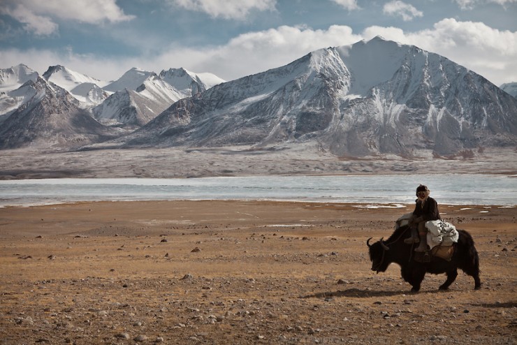 A Kyrgyz riding the leading yak of a caravan beside the frozen Chaqmaqtin lake. From Ak Chyktash (Mullah Abdul Kossim) to Ech Keli (Er Ali Boi's camp). Trekking with yak caravan through the Little Pamir where the Afghan Kyrgyz community live all year, on the borders of China, Tajikistan and Pakistan.