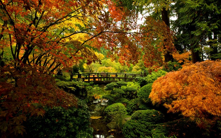 Portland Japanese Garden Photography by Craig Mitchelldyer www.craigmitchelldyer.com 503.513.0550