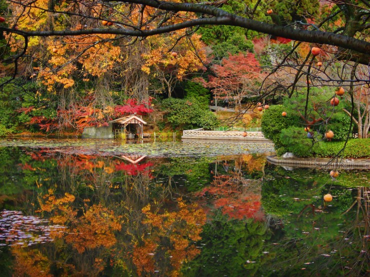 Ryoanji-Photo by alexbrn