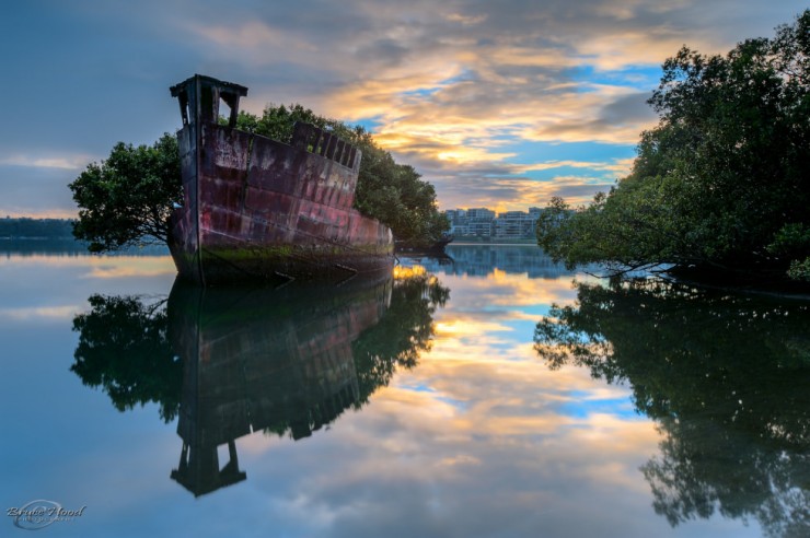 Top Forested-Homebush-Photo by Bruce Hood