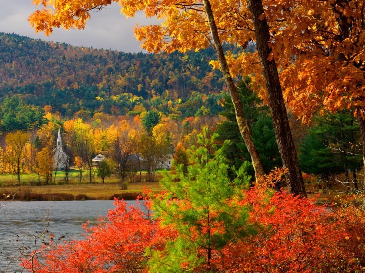 Top Forested-New Hampshire