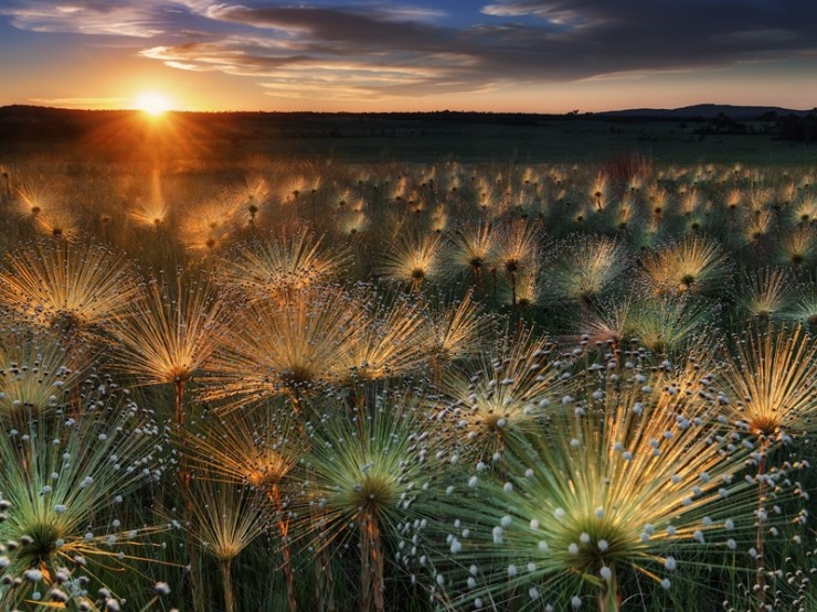 Chapada-Photo by Marcio Cabral2