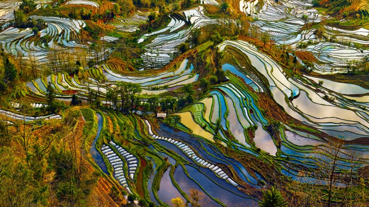 China-Photo by Thierry Bornier3