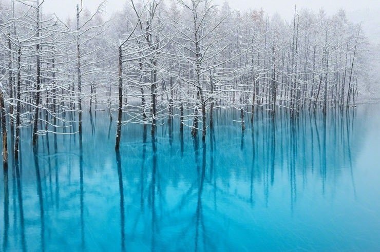 Blue-Photo by Kent Shiraishi