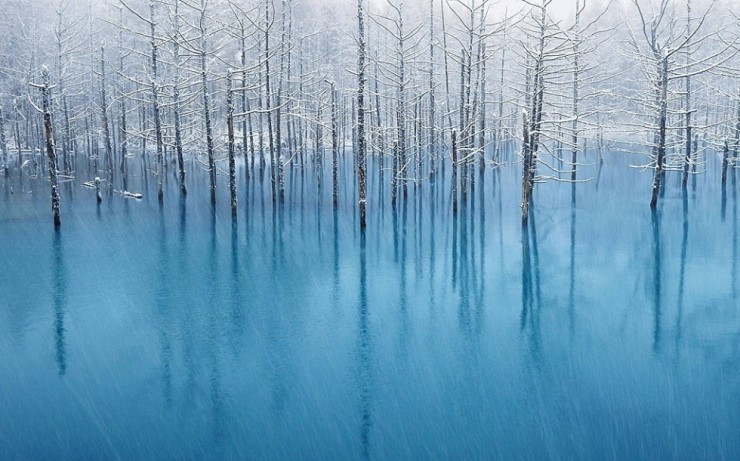 Blue-Photo by Kent Shiraishi2