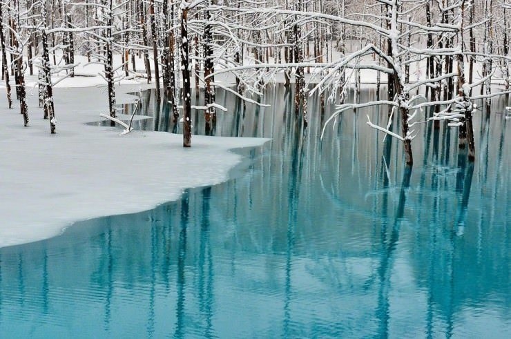 Blue-Photo by Kent Shiraishi3