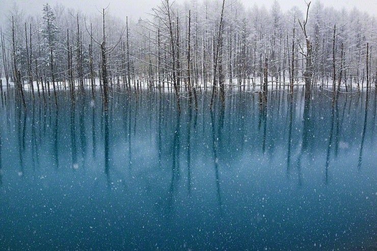 Blue-Photo by Kent Shiraishi4