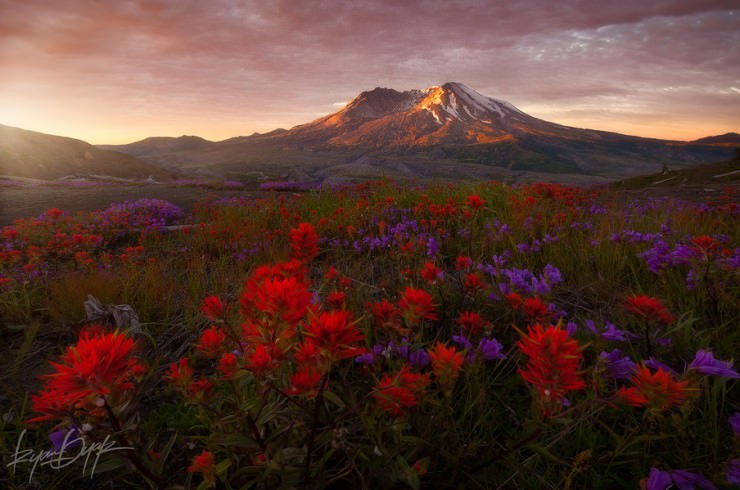 Helens-Photo by Ryan Dyar