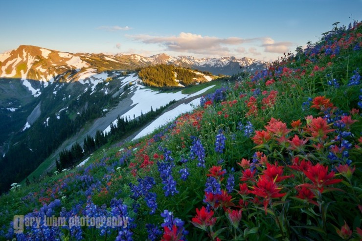 Olympic-Photo by Gary Luhm