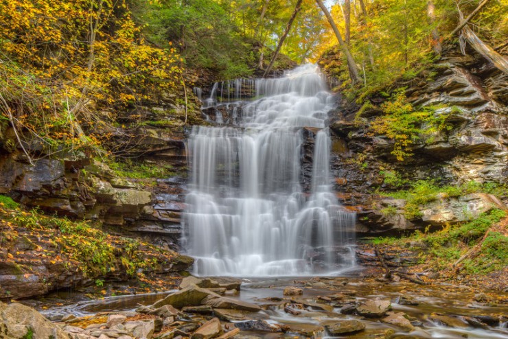 Ricketts-Photo by Chris Clements